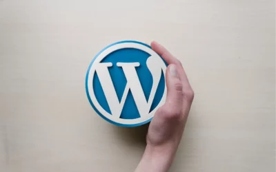 10. Realizare magazin online in WordPress sau alt cms?